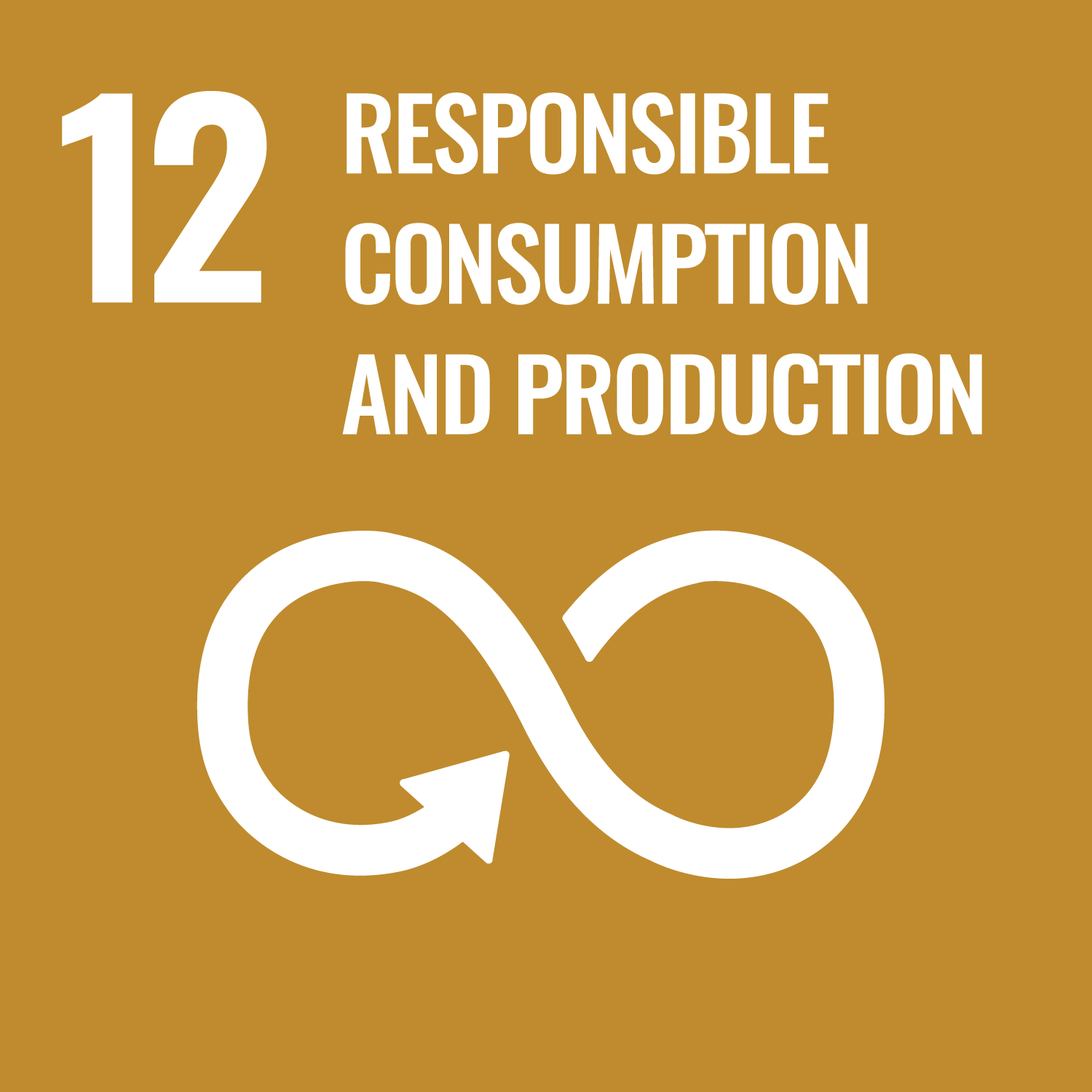 SDG 11