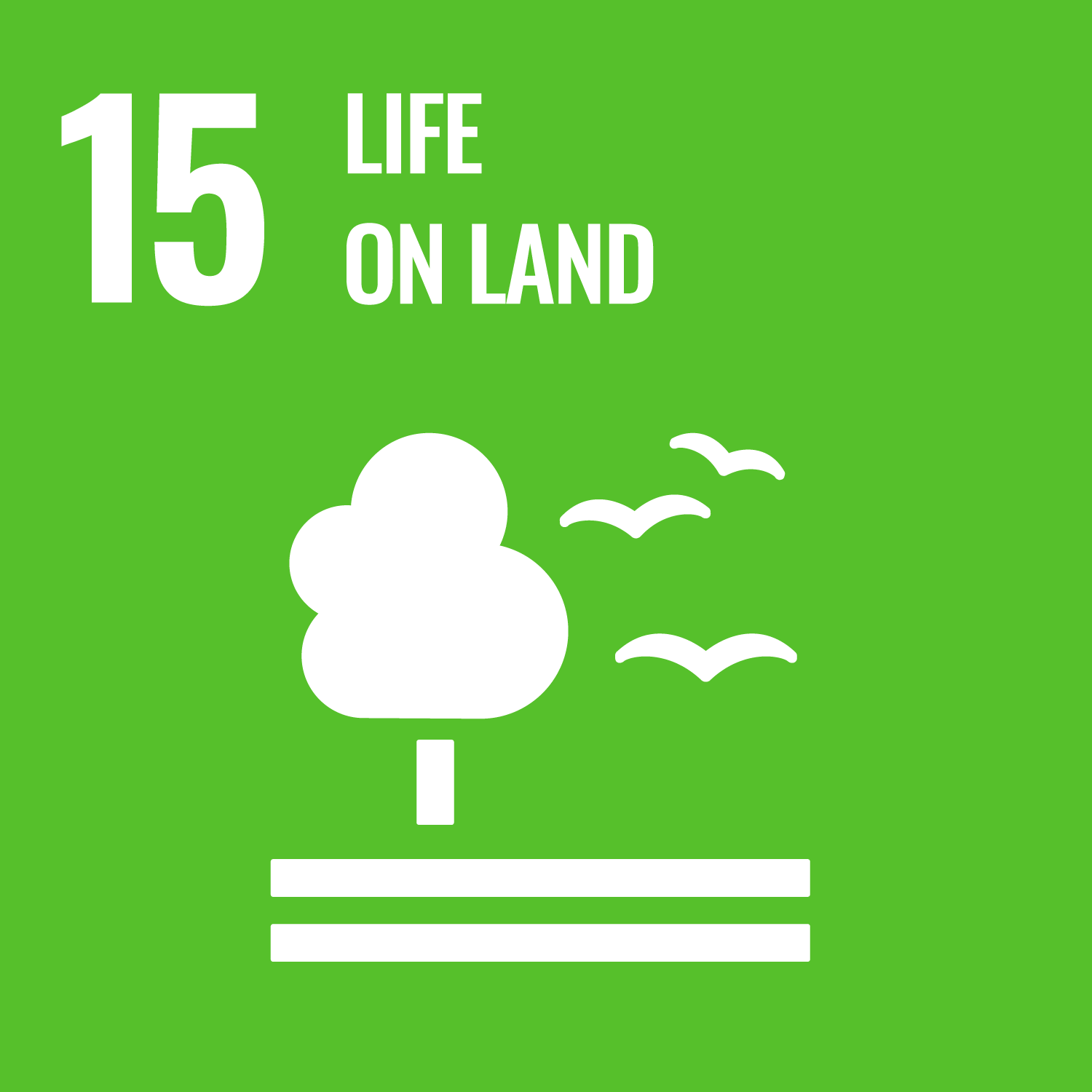 SDG 14