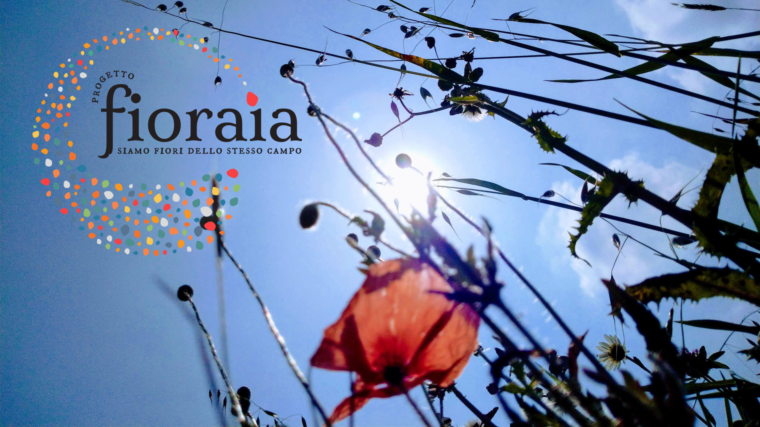 Copertina del progetto Progetto Fioraia