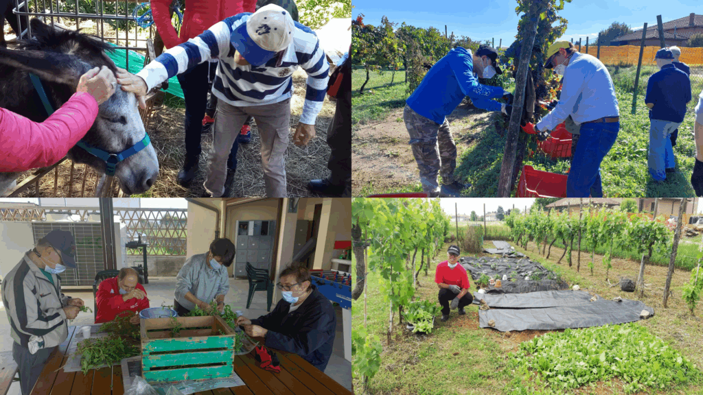 Copertina del progetto Fattoria Sociale