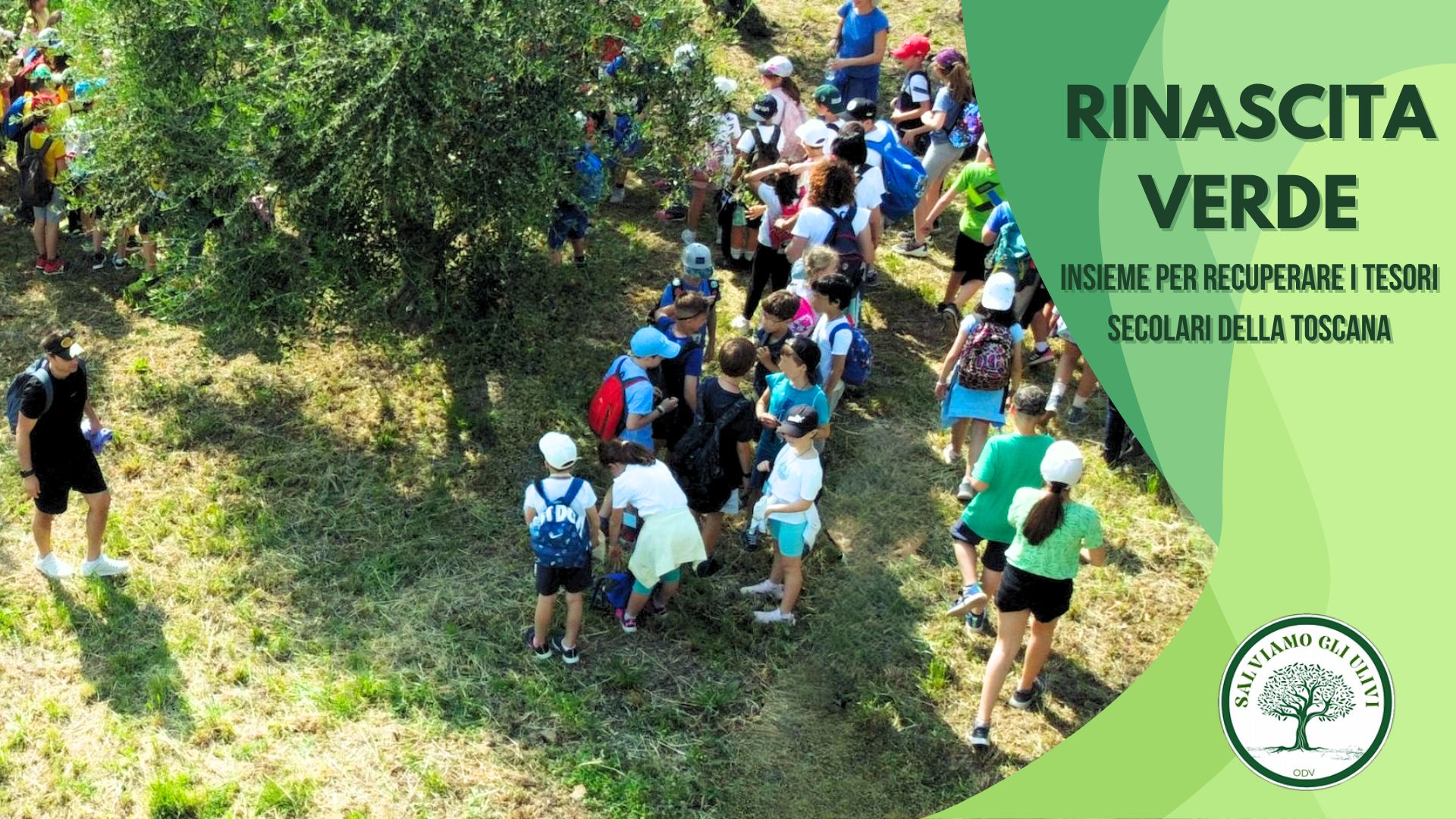 Copertina del progetto Rinascita verde: insieme per recuperare i tesori secolari della Toscana